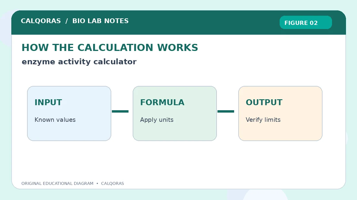 Enzyme Activity Calculator — original Calqoras scientific illustration 2