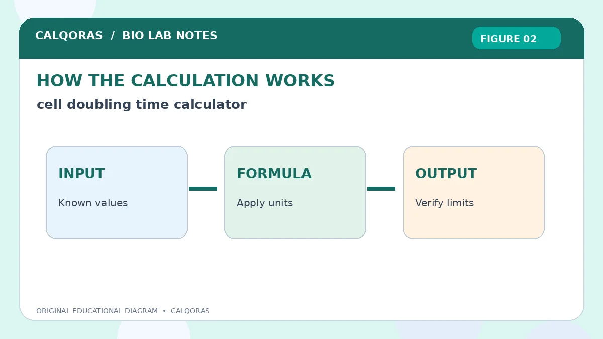 Cell Doubling Time Calculator — original Calqoras scientific illustration 2