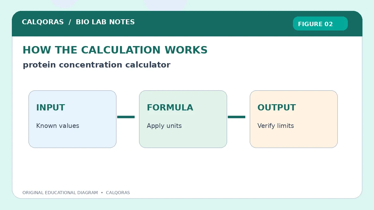 Protein Concentration Calculator — original Calqoras scientific illustration 2